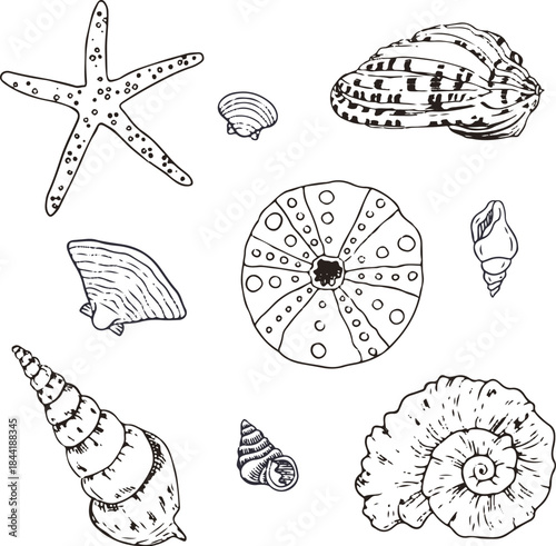 Cute beach essentials sunscreen map sunglasses lemon vector