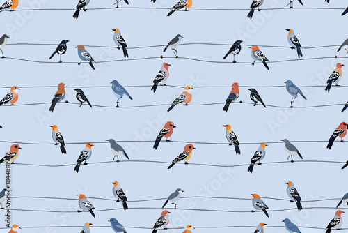 A multitude of colorful birds perched on several electrical wires