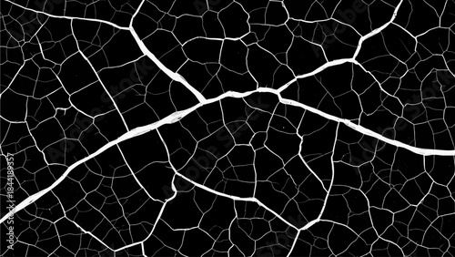 abstract background Black crack set, vector broken floor texture, rock crackle kit, earthquake ground crash on white