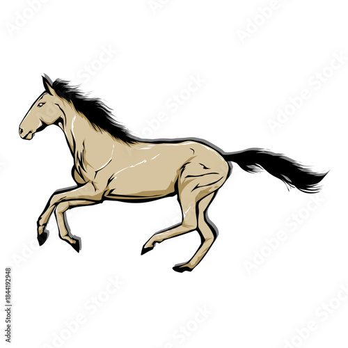Brown horse with black hair