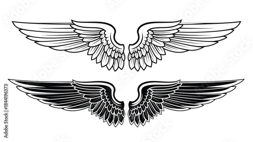 Detailed illustration of two pairs of feathered wings in monochrome style