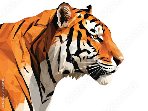 Tiger Head Geometric Illustration