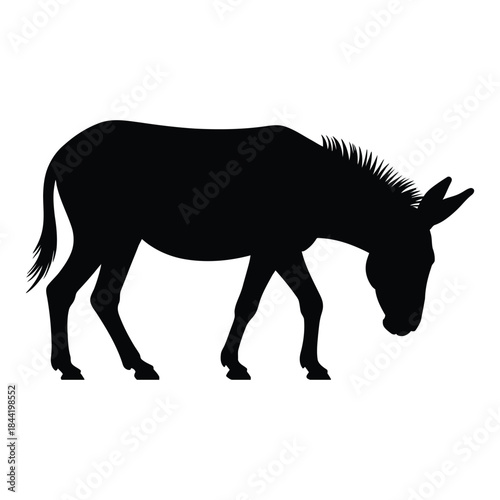 Donkey walking with head down Vector, Silhouette, Illustration