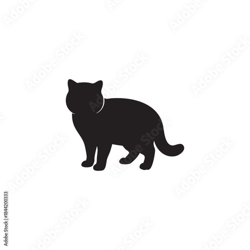 Silhouette of a cat