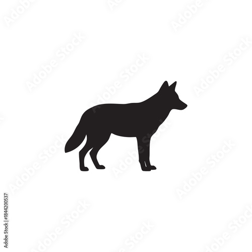 Silhouette of a wolf