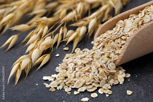 Oatmeal in a wooden scoop next to ripe oat ears of Avena sativa on a dark kitchen counter, close up of healthy oats for porridge