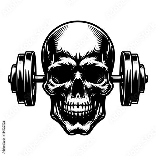 Skull head weightlifting vector image illustration