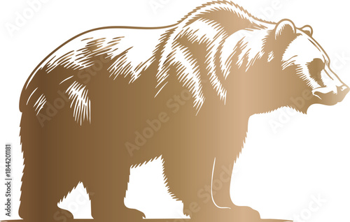 A detailed of a brown bear standing on all fours with a textured fur pattern
