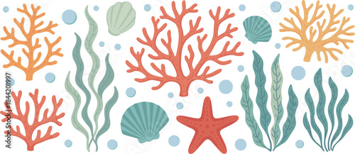 Colorful Underwater Coral Reef And Seaweed Collection starfish seashell
