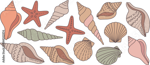 Pastel Colored Seashells And Starfish Collection conch spiral