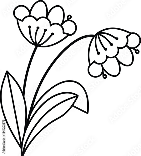 romantic flower outline vector illustration on transparent background