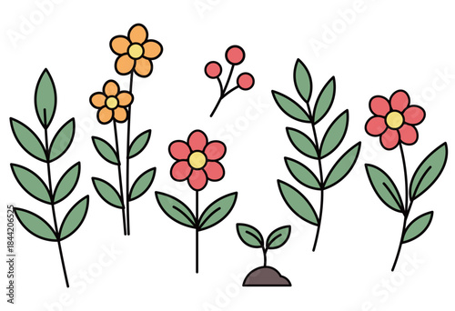 Botanical Flower and Leaf Set Featuring Seasonal Plants, Blossoms, Sprouts, and Decorative Natural Elements