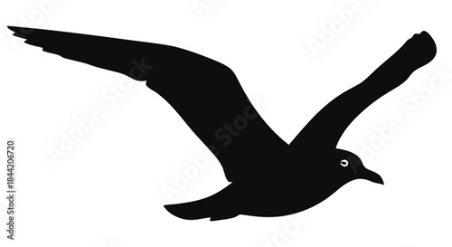 Silhouette of a Seagull in Flight Against a White Background Freedom and Nature Symbolism