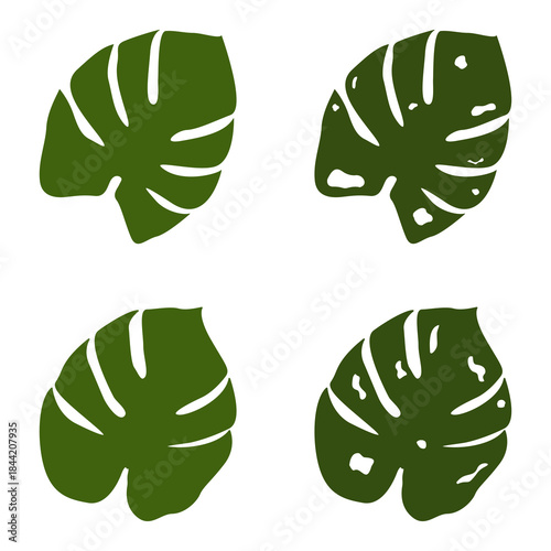 Four stylized images of lush green Monstera leaves, evoking a sense of tropical serenity