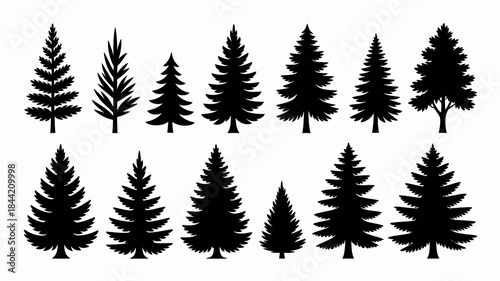 Black silhouettes of various pine trees on white background