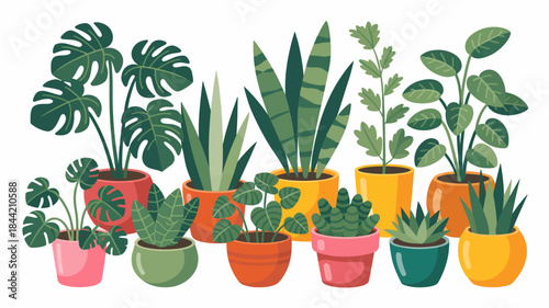Colorful illustration of various potted plants and succulents in vibrant pots