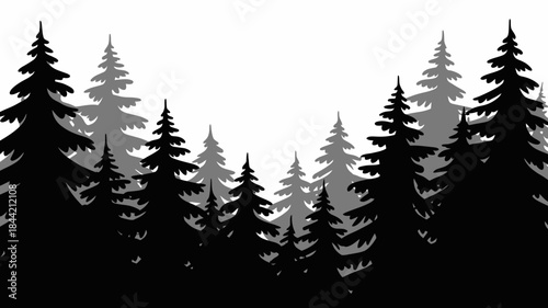 Silhouette of Evergreen Trees on White Background