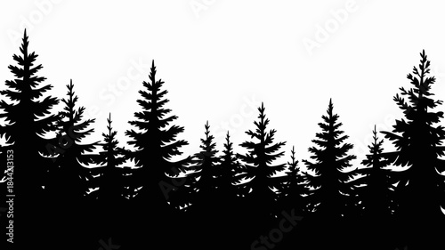 Silhouette of Evergreen Trees Against White Background