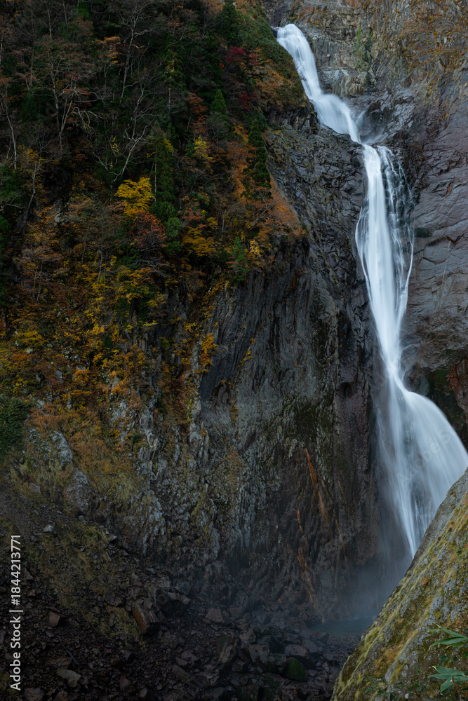 Obraz premium 紅葉する秋の美しい称名滝 