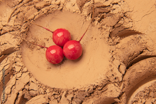 The pattern formed by clay, sand, and soil is embellished with a few sacred fruit props. The layout is simple, with Middle Eastern style and American Western style, relatively simple. The design inclu