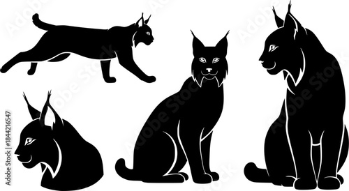 Lynx cat silhouettes, Lynx silhouette, Lynx, Lynx cat, Cat silhouettes, Lynx vector illustration