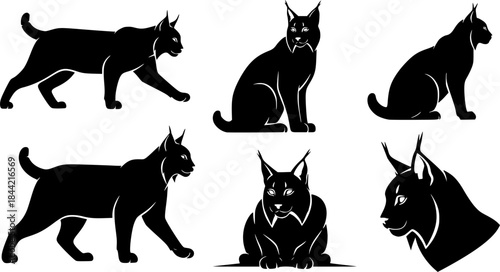 Lynx cat silhouettes, Lynx silhouette, Lynx, Lynx cat, Cat silhouettes, Lynx vector illustration