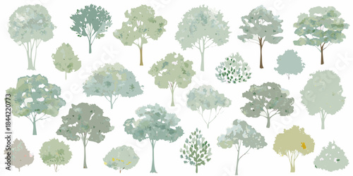 Watercolor style illustration of various tree shapes and foliage designs