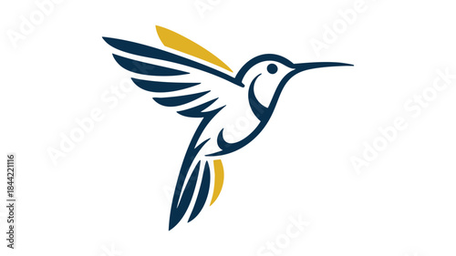 Flying hummingbird illustration Vector