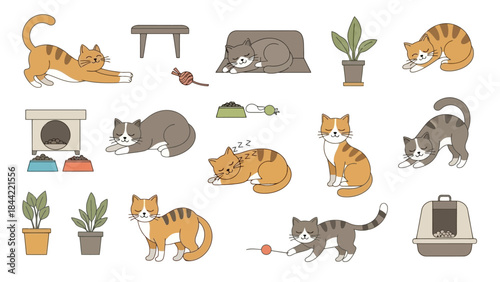 Cute Cat Collection with Toys, Food, Plants, and Furniture