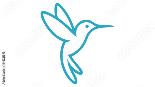 Flying hummingbird illustration Vector