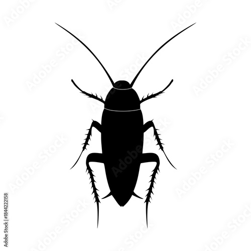 Cockroach icon, Silhouette icon of cockroach. Flat vector illustration design isolated on white background.