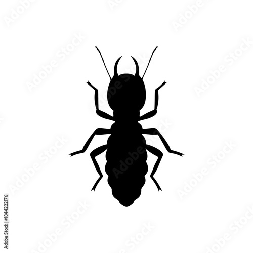 Termite icon, Silhouette icon of termite. Flat vector illustration design isolated on white background.