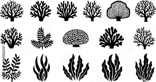 Coral silhouette, Sea corals silhouette, Seaweed silhouette, Coral, Coral clipart, coral vector illustration set