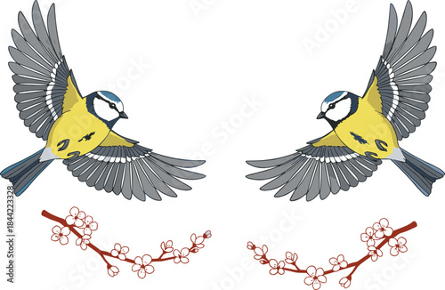 Blue Tits Flying Over Delicate Cherry Blossom Branches, Isolated Vector Illustration of Spring Birds in Motion for Nature and Wildlife Designs, Flat Drawing