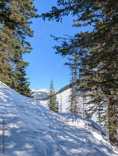 Winter in the mountains - frozen lake, snow-covered rocks, spruce trees covered with snow on a sunny day - winter vacation - snowshoe hiking and ski trails, Lake Louise, Alberta, Canada