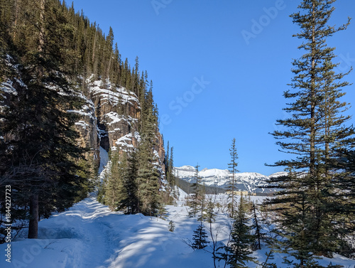 Winter in the mountains - frozen lake, snow-covered rocks, spruce trees covered with snow on a sunny day - winter vacation - snowshoe hiking and ski trails, Lake Louise, Alberta, Canada