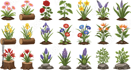 Garden flower and plant illustration set with blooming blossoms and greenery, colorful vector collection for landscaping, botany, spring and nature design projects