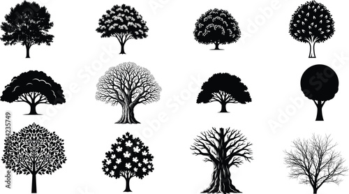 Collection of silhouetted trees in various shapes and sizes