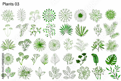 A collection of various green leaf sketches and floral botanical illustrations