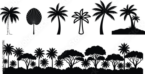 Tropical palm trees silhouette collection vector illustration set