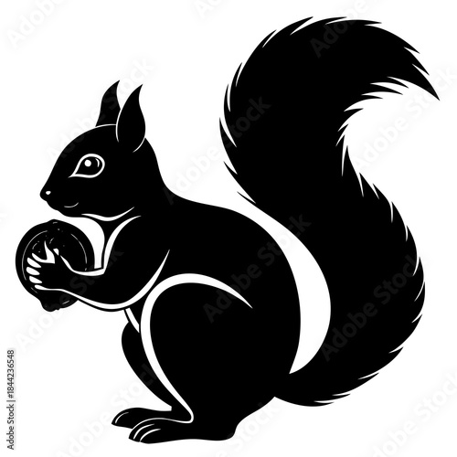 A black and white illustration of a squirrel holding a nut
