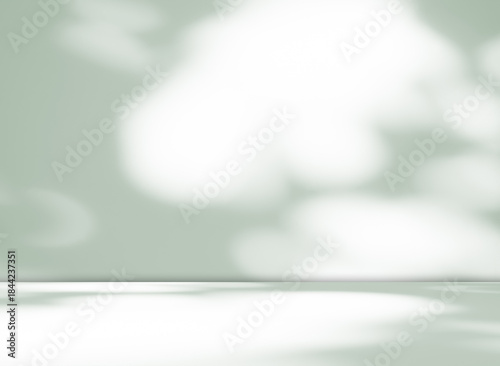 Green background light shadow leaves abstract nature on blur wall cement podium loft product, studio room floor organic minimal wallpaper backdrop summer tropical platform sale interior empty scene