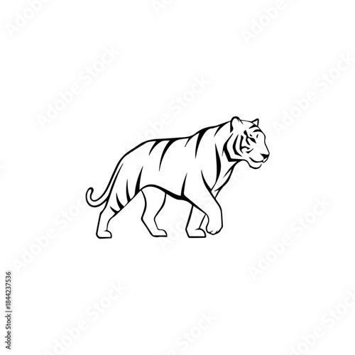 Elegant black and white outline illustration of a powerful walking tiger, showcasing its majestic stride and wild nature as a versatile graphic design element