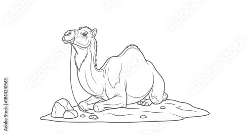 Line art illustration of a camel resting on the ground, ready for coloring.