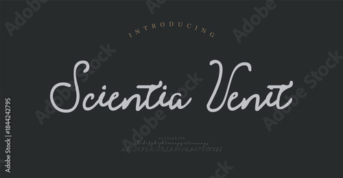 Elegant Font Uppercase Lowercase and Number. Classic Lettering Minimal Fashion Designs. Typography modern serif fonts regular decorative vintage concept. vector illustration
