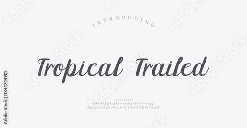 Elegant Font Uppercase Lowercase and Number. Classic Lettering Minimal Fashion Designs. Typography modern serif fonts regular decorative vintage concept. vector illustration
