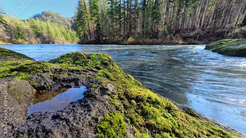 mountain river in the forest