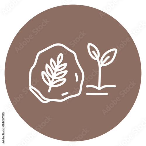 Paleobotany icon vector image. Can be used for Archeology.
