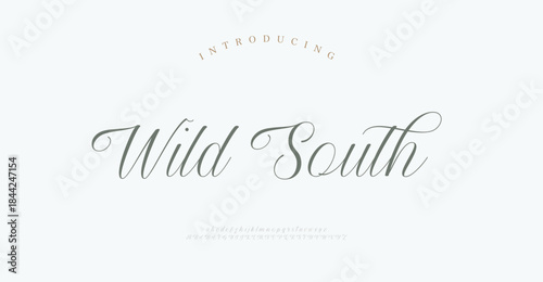 Script typography beauty fashion elegant minimalist serif italic fonts decorative wedding vintage retro logos. Minimal luxury font alphabet logo. Vector illustration