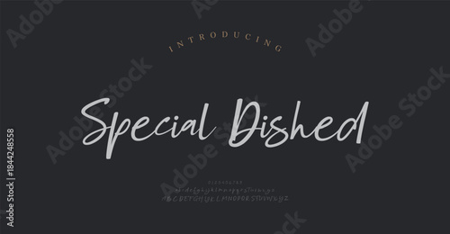 Script typography beauty fashion elegant minimalist serif italic fonts decorative wedding vintage retro logos. Minimal luxury font alphabet logo. Vector illustration
